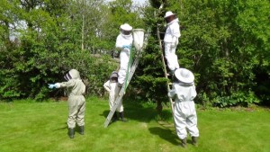 Tarland Bee Group
